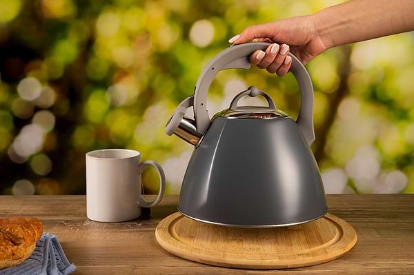 Фото - Чайник металевий Ardesto Gemini 2.5 л Black (AR1947KB)