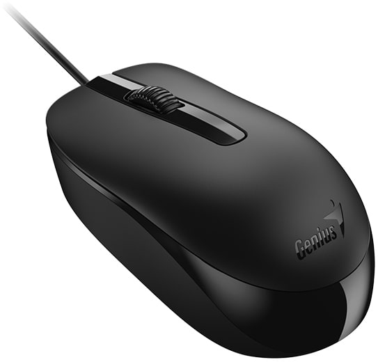 Фото - Клавіатура+миша Genius KM-160 USB Black Ukr (31330001419)