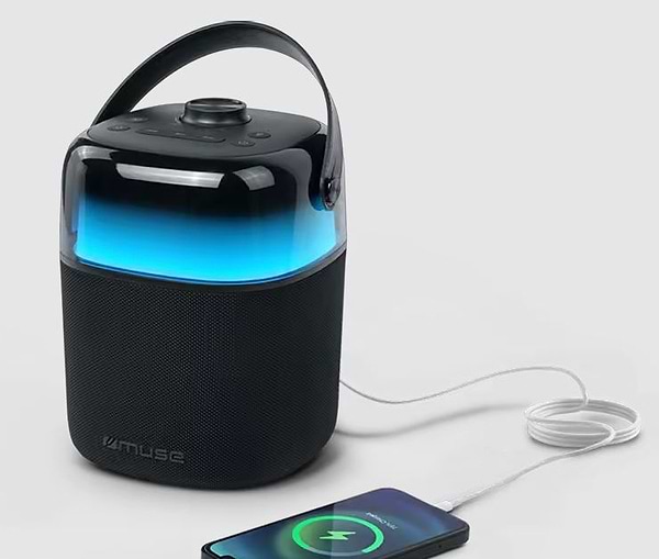 Фото - Портативна акустика Muse M-530 KA караоке