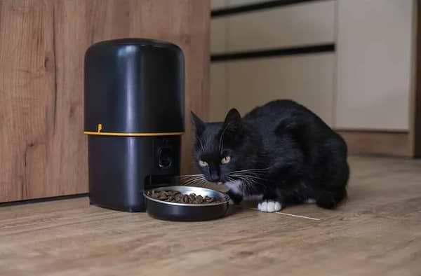 Фото - Смарт-кормушка для животных EMOS Автоматическая с камерой GO SMART H6004 4 литра WiFi