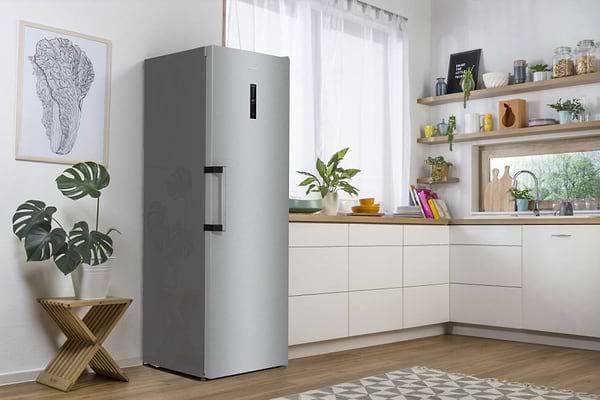 Фото - Морозильная камера Gorenje FN619EAXL6
