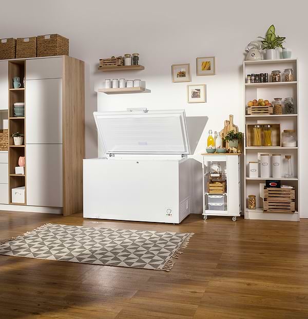 Фото - Морозильна скриня Gorenje FH451CW