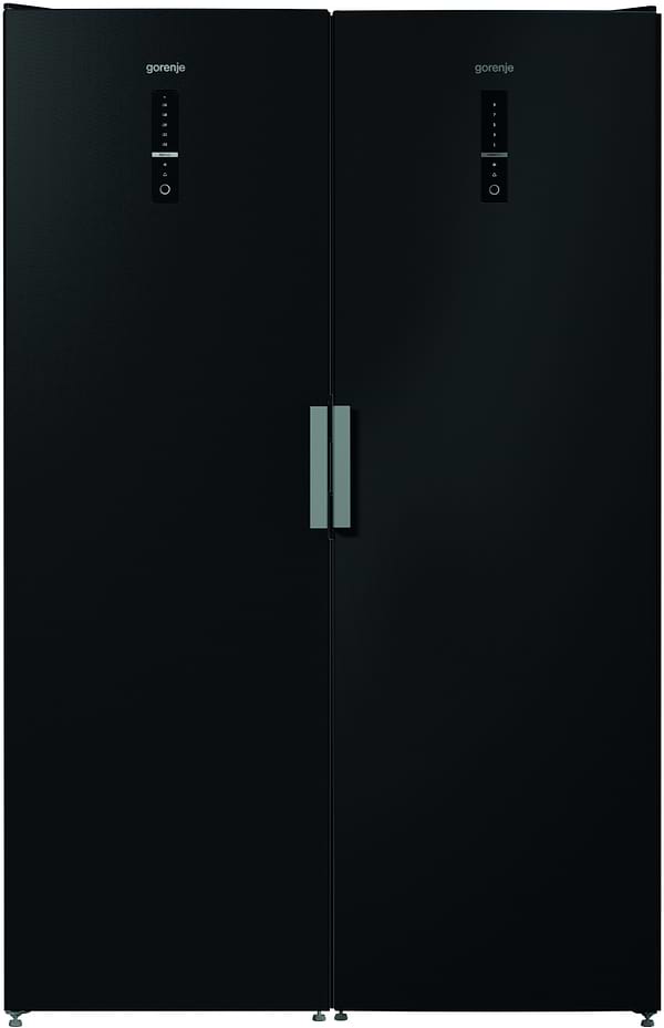 Фото - Морозильная камера Gorenje FN6192PB