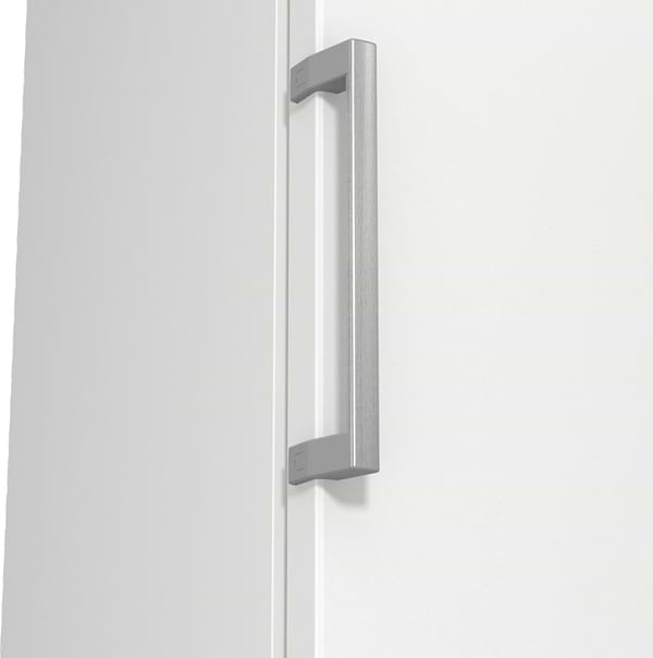 Фото - Морозильная камера Gorenje FN619FEW5