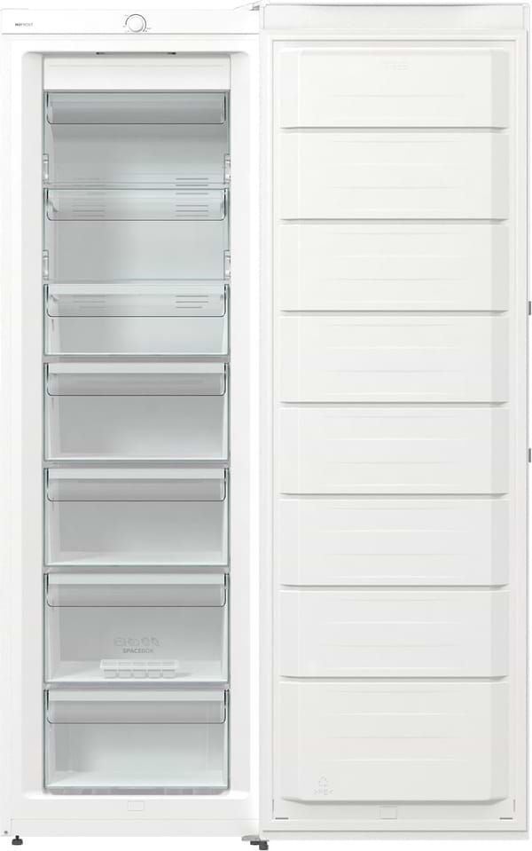 Фото - Морозильная камера Gorenje FN619FEW5