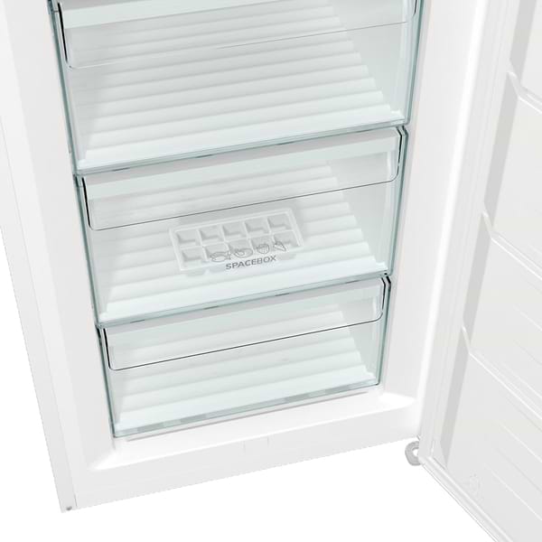Фото - Морозильная камера Gorenje FN619FEW5