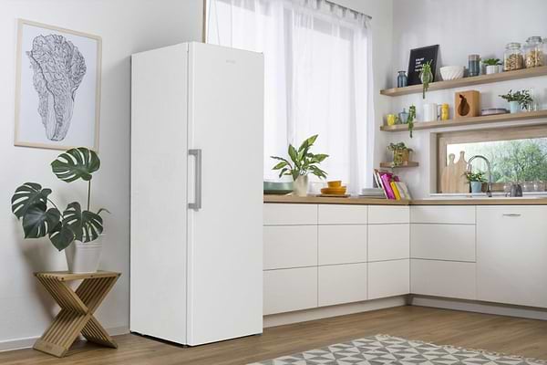 Фото - Холодильник Gorenje R619EEW5