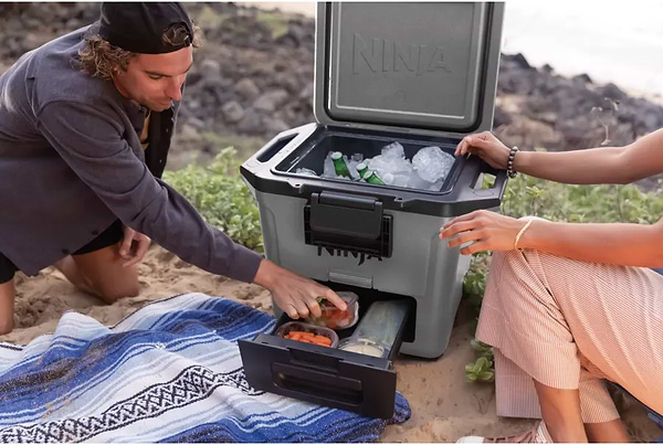 Фото - Термобокс Ninja FrostVault 28L Hard Cooler - Slate Grey (FB131EUGY)
