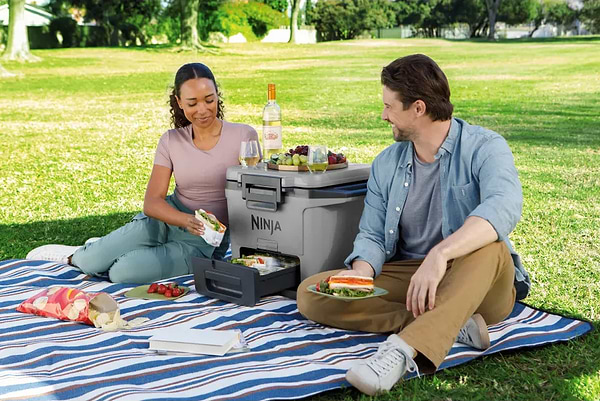 Фото - Термобокс Ninja FrostVault 28L Hard Cooler - Slate Grey (FB131EUGY)