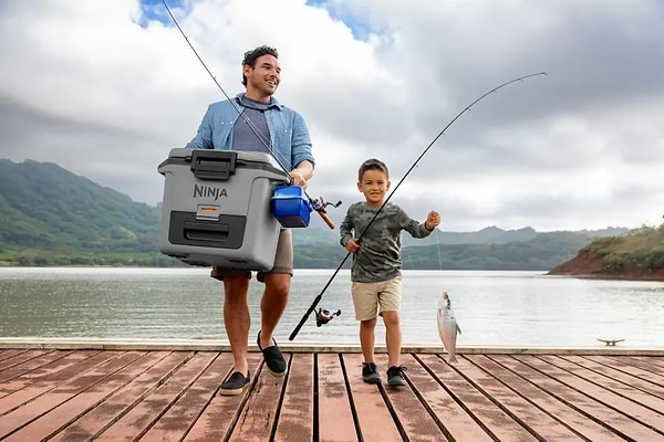Фото - Термобокс Ninja FrostVault 28L Hard Cooler - Slate Grey (FB131EUGY)