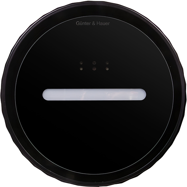 Фото - Вытяжка декоративная Gunter & Hauer MARGARETTE 3D WALL BL