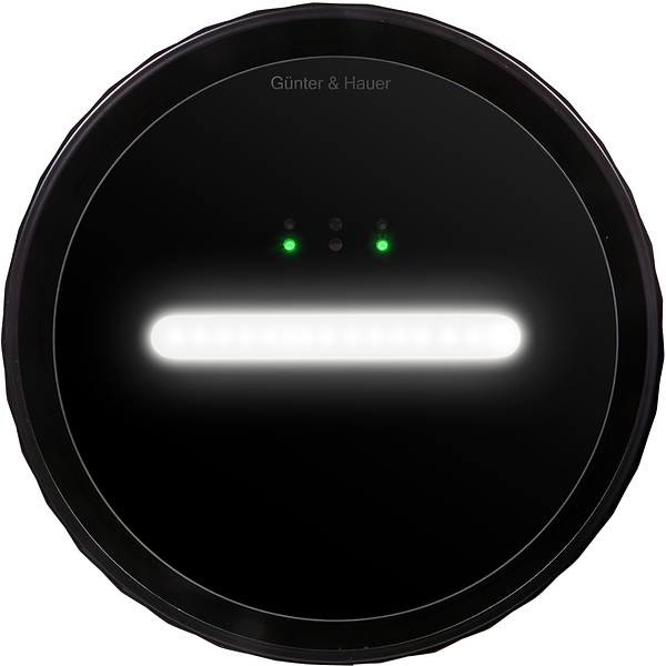 Фото - Вытяжка декоративная Gunter & Hauer MARGARETTE 3D WALL BL