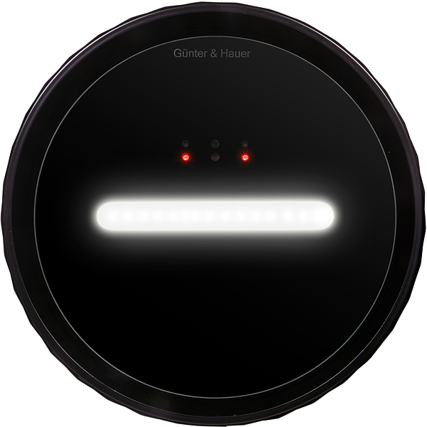 Фото - Вытяжка декоративная Gunter & Hauer MARGARETTE 3D WALL BL