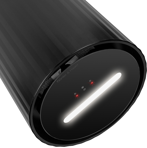 Фото - Вытяжка декоративная Gunter & Hauer MARGARETTE 3D WALL BL