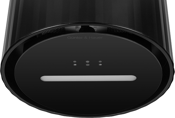 Фото - Вытяжка декоративная Gunter & Hauer MARGARETTE 3D WALL BL