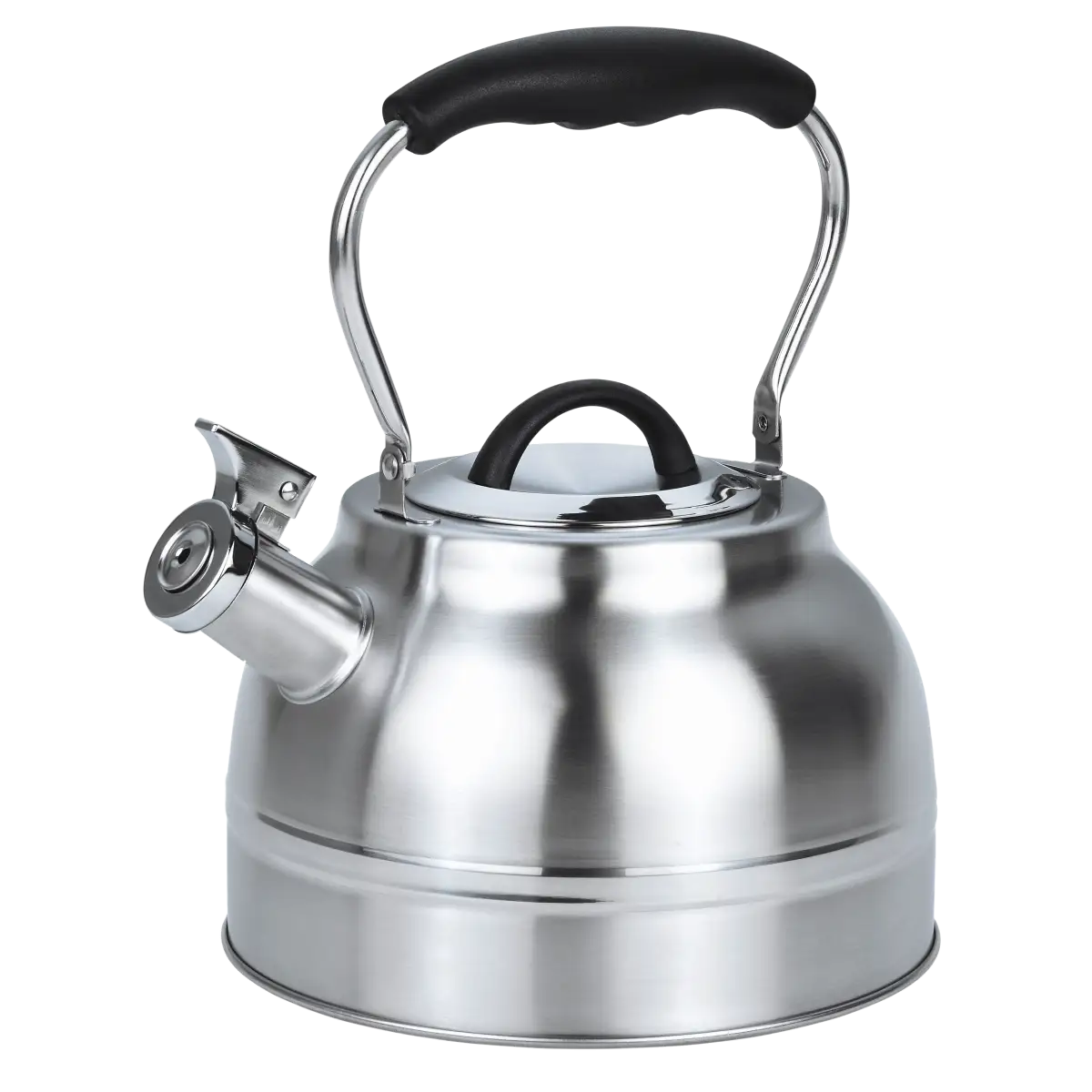 Чайник металлический Gusto GT-1424-25 Виконт со свистком 2.5 л