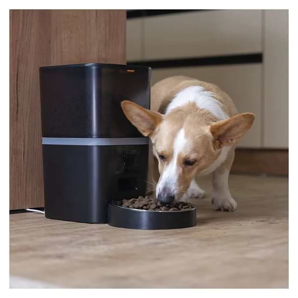 Фото - Смарт-кормушка для животных EMOS Автоматическая с камерой GO SMART H6006 6 литров WiFi