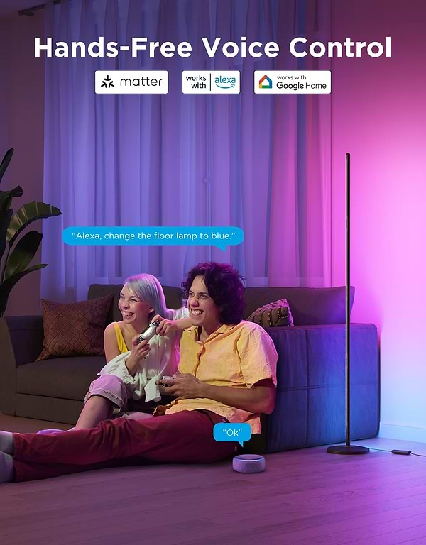 Фото - Умный торшер Govee H8076 Govee Floor Lamp lite, 1000Lm, RGBWW+RGBIC+WW, WI-FI/Bluetooth Black (H8076C13)