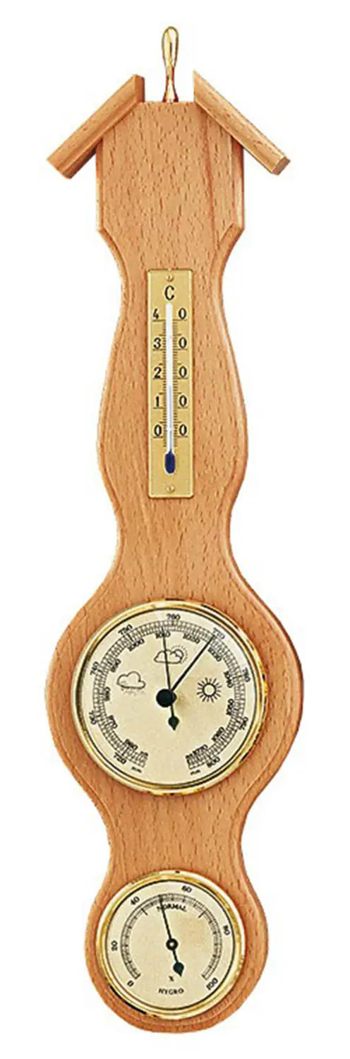 Метеостанция Moller Beech (203057)