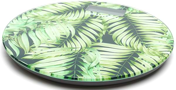 Фото - Ваги кухонні Holmer HSK-1818