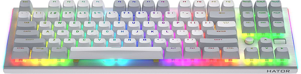 Фото - Клавиатура проводная игровая Hator Gravity TKL orange (HTK561) White