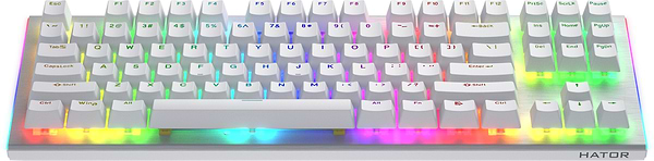 Фото - Клавиатура проводная игровая Hator Gravity X TKL orange (HTK551) White