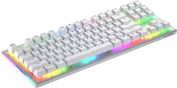Фото - Клавиатура проводная игровая Hator Gravity X TKL orange (HTK551) White