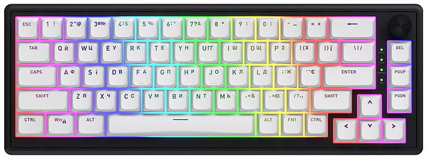 Фото - Клавиатура беспроводная игровая Hator Skyfall 65 wireless Black/White (HTK3160UA)