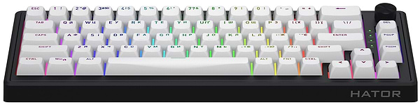 Фото - Клавиатура беспроводная игровая Hator Skyfall 65 wireless Black/White (HTK3160UA)