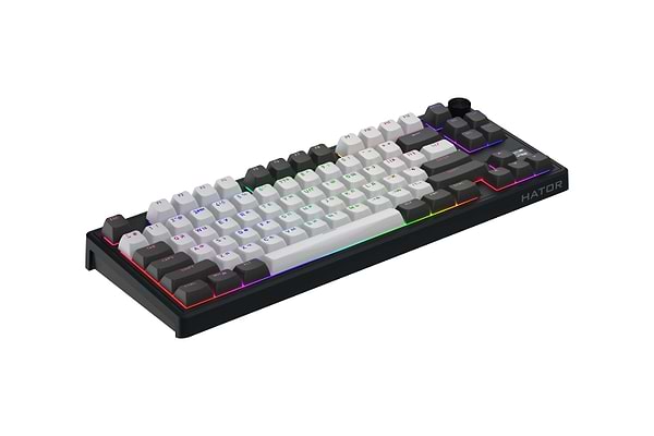 Фото - Клавиатура беспроводная игровая Hator Skyfall 80 PRO (HTK4180UA) Grey-black