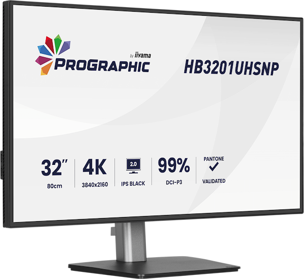 Фото - Монитор IIYAMA HB3201UHSNP-B1