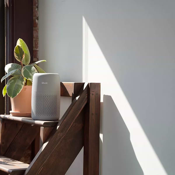 Фото - Очиститель воздуха Levoit Air Purifier Core Mini PRO LAP-C161-AEUR (HEAPAPLVNEU0141Y)