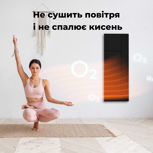 Фото - Конвектор AENO Premium Eco Smart GH4S LED Black (AGH0004S)