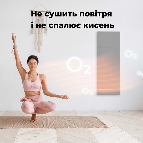 Фото - Конвектор AENO Premium Eco Smart GH5S LED Grey (AGH0005S)