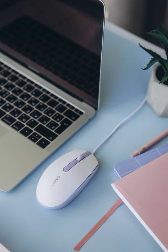 Фото - Миша дротова Canyon M-10 USB White Lavender (CNE-CMS10WL)