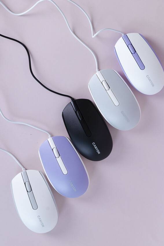 Фото - Миша дротова Canyon M-10 USB White Grey (CNE-CMS10WG)