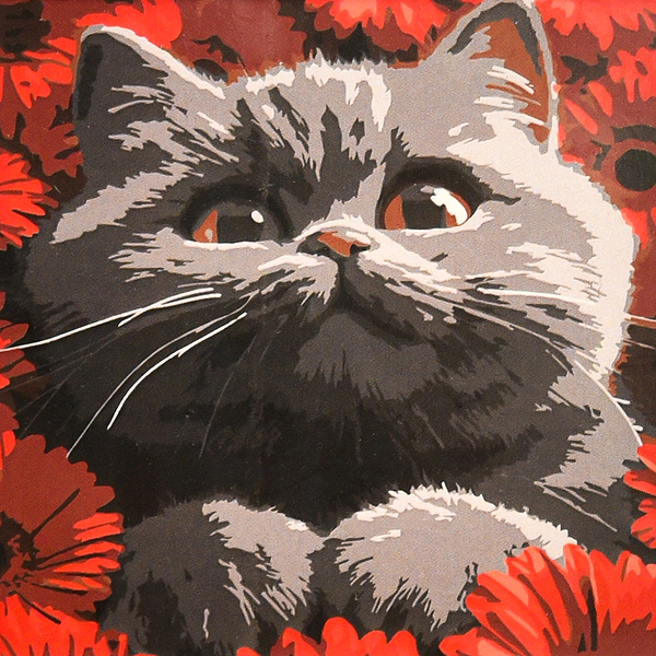 Фото - Картина по номерам Strateg Кот в красных цветах 20х20 (HH8043)