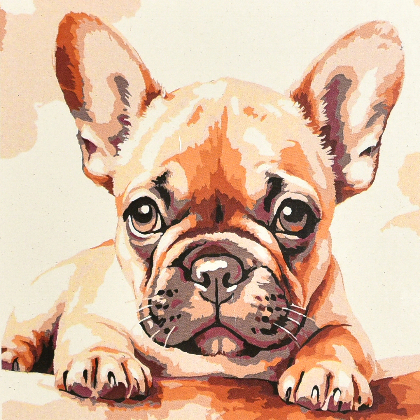 Картина по номерам Strateg Бульдог-малыш 20х20 (HH8070)