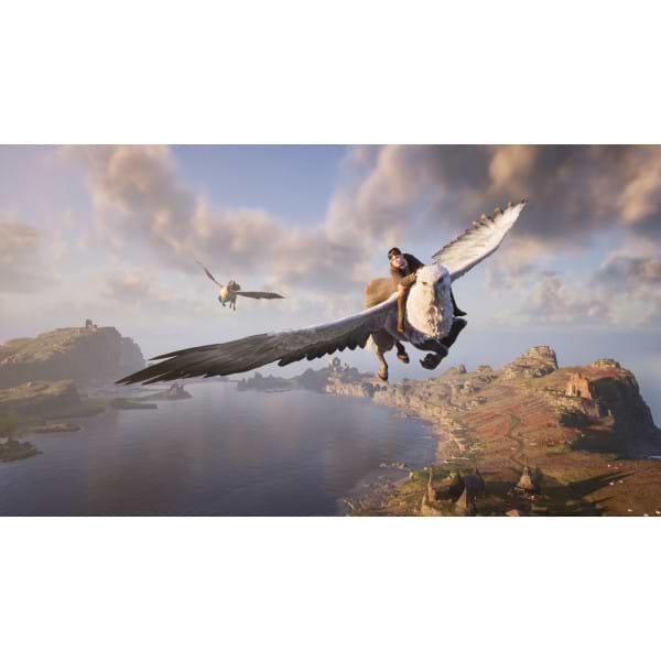 Фото - Ігровий диск PS4 Hogwarts Legacy Deluxe Edition [PS4, Blu-Ray диск]