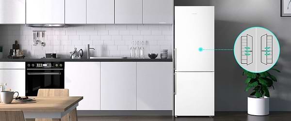 Фото - Холодильник Hisense RB343D4DWF