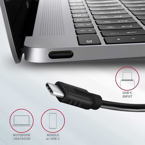 Фото - Хаб USB AXAGON SuperSpeed USB-C 10 Gbps SPEEDSTER 4, Grey (HMC-4G2)