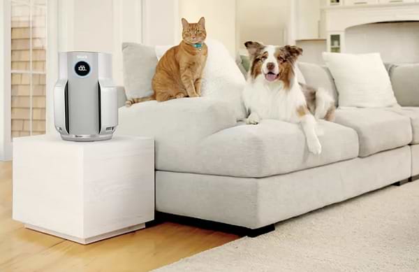 Фото - Очищувач повітря Shark NeverChange5 Air Purifier (HP150EU)