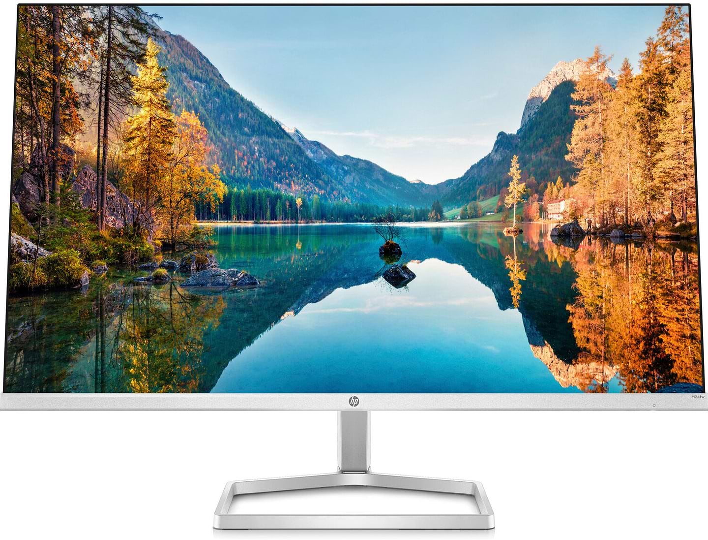 Монитор HP M24fw (2D9K1E9) Silver/Gray - Фото 1