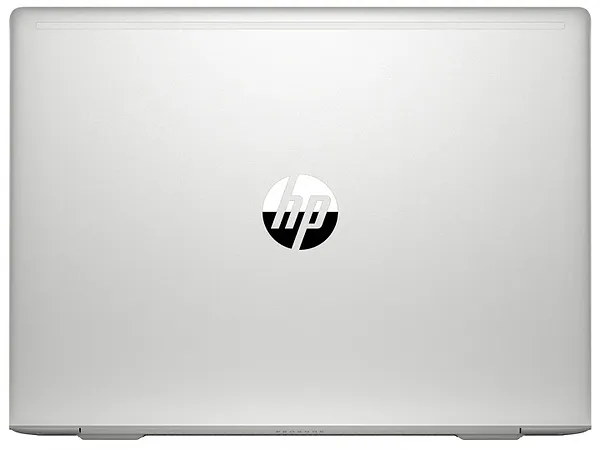 Фото - Ноутбук HP ProBook 445 G7 (7RX16AV_V3) Pike Silver