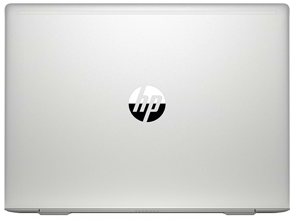 Фото - Ноутбук HP ProBook 445 G7 (7RX16AV_V4) Pike Silver