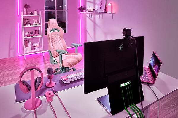 Фото - Крісло для геймерів Razer Enki, Quartz (RZ38-03720200-R3G1)