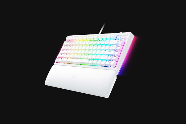 Фото - Клавіатура дротова ігрова Razer BlackWidow V4 75% White (RZ03-05001700-R3M1)