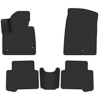 Фото - Коврики из экокожи в салон авто EVAtech ECO для Santa FE (DM) 5 seats Hyundai 2012-2017 3 поколение SUV EU HY33415CB5KH3BBB