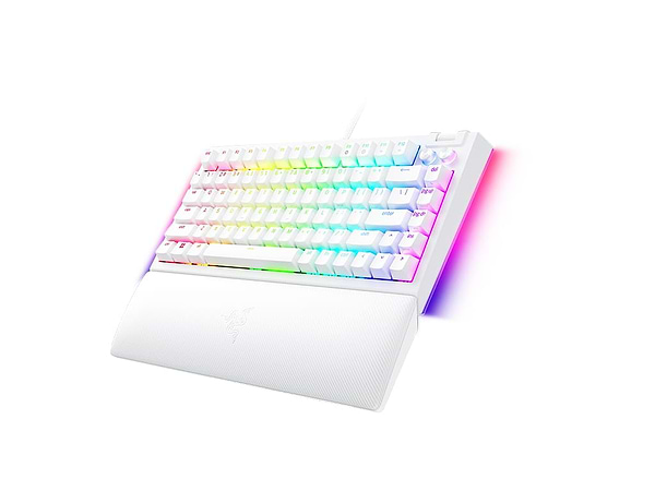 Фото - Клавіатура дротова ігрова Razer BlackWidow V4 75% White (RZ03-05001700-R3M1)