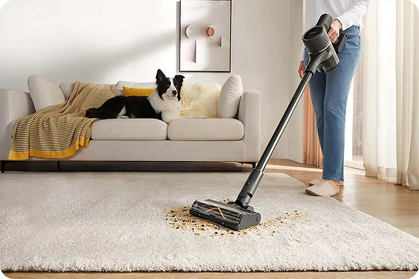 Фото - Пилосос ручний для дому Dreame R10 Pro (VTV41B)